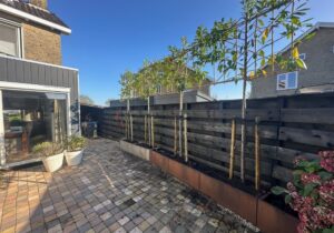 Bestrating achtertuin en cortenstalen bakken